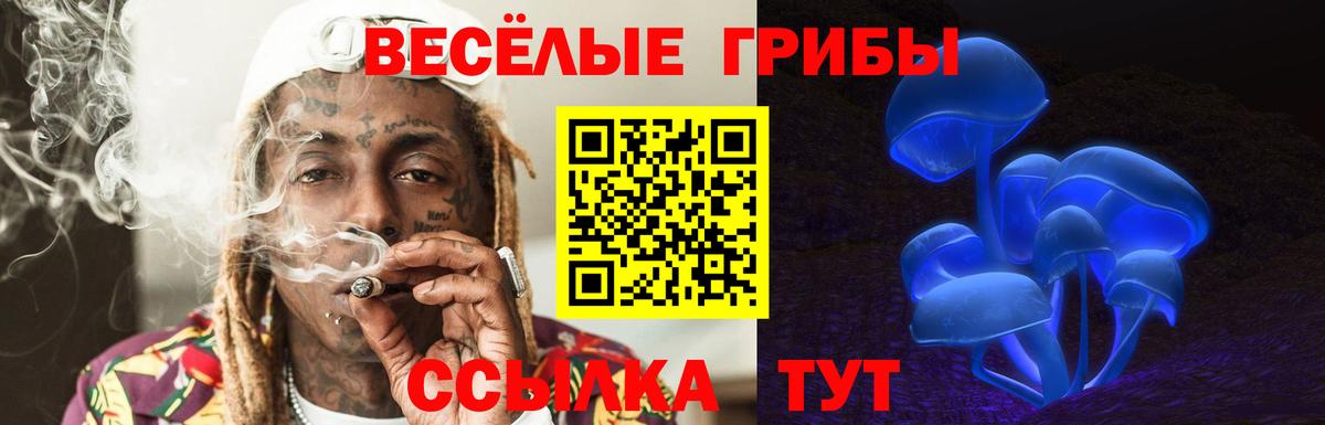 Тимашёвск  Псилоцибиновые грибы мицелий  Вход с VPN 